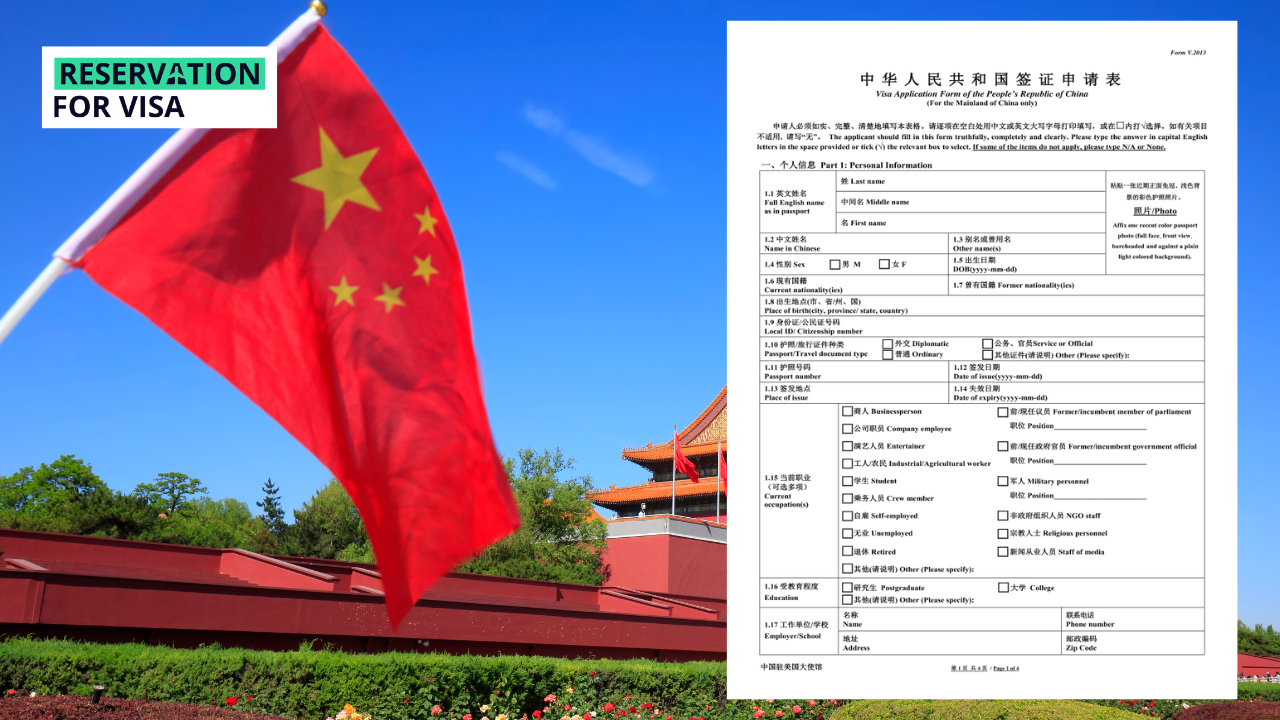 Visa application form